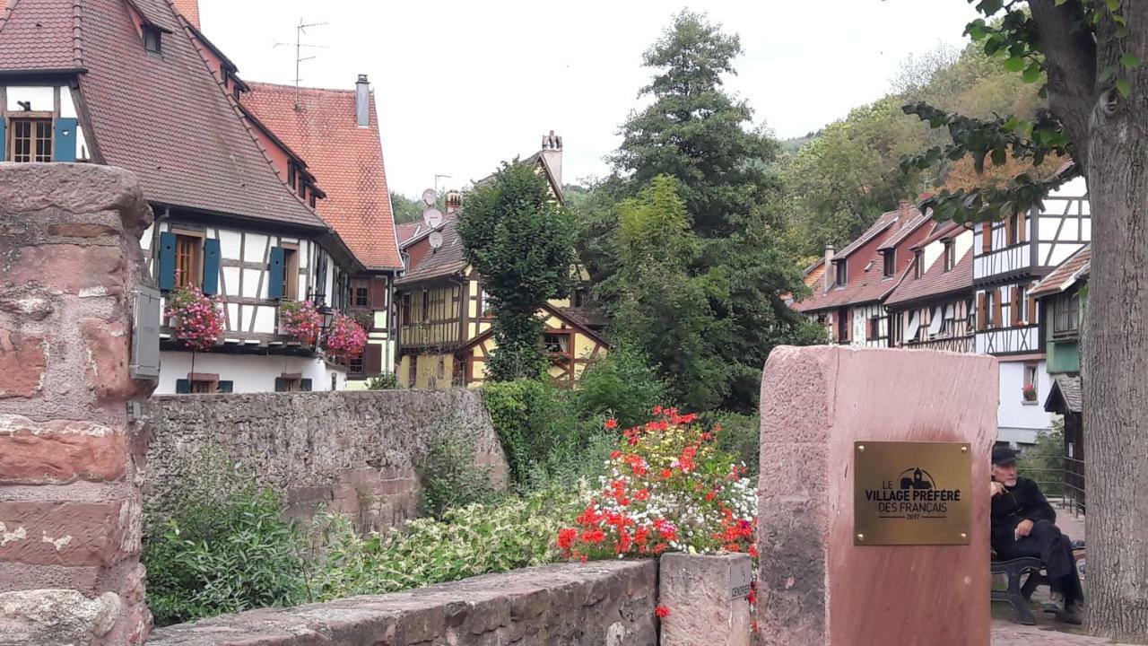 Le Gite Cosy Kaysersberg-Vignoble Zewnętrze zdjęcie