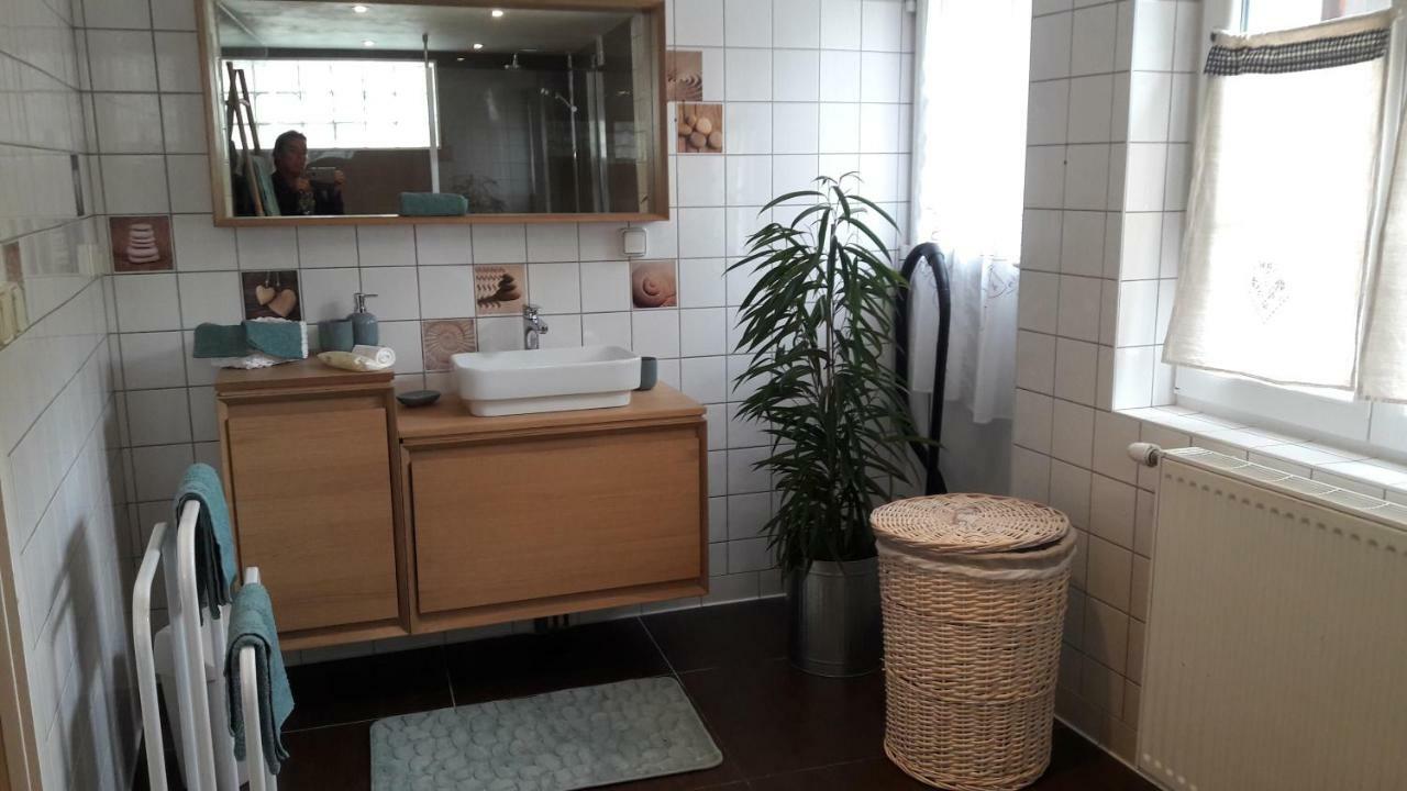 Le Gite Cosy Kaysersberg-Vignoble Zewnętrze zdjęcie
